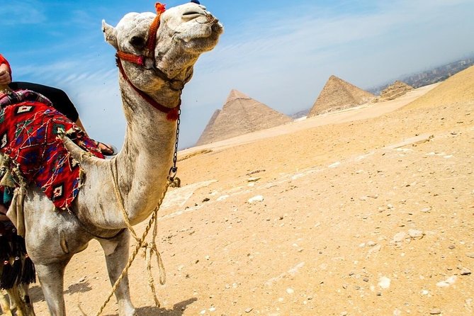 Day trip to Giza Pyramids Citadel & Bazaar - Price, Inclusions, And Extra Costs