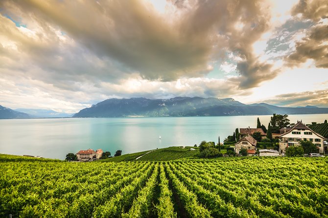 Day Trip to Montreux, Chaplin's World & Chillon Castle& apéritif - Lausanne and the Olympic Museum photo stop