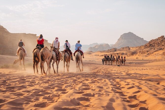 Day Trip to Petra, Wadi Rum, and Shobak Castle - Why This Long Day Can Work