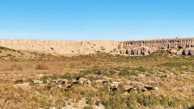 Daytrip from Khiva to Five Ancient Fortresses - Toprak-Kala, the royal city in the desert