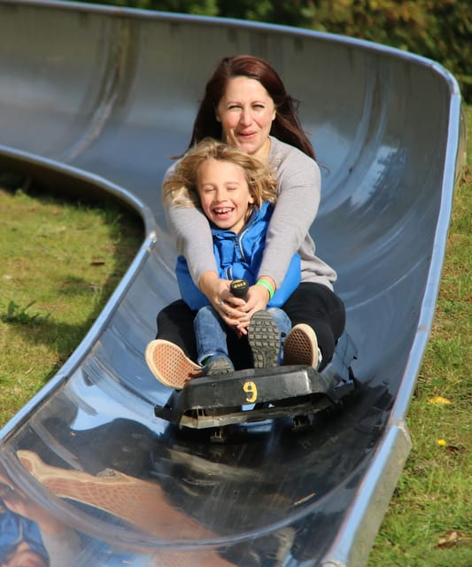 Devon: Watermouth Castle Entry - Rides for different ages and nerves