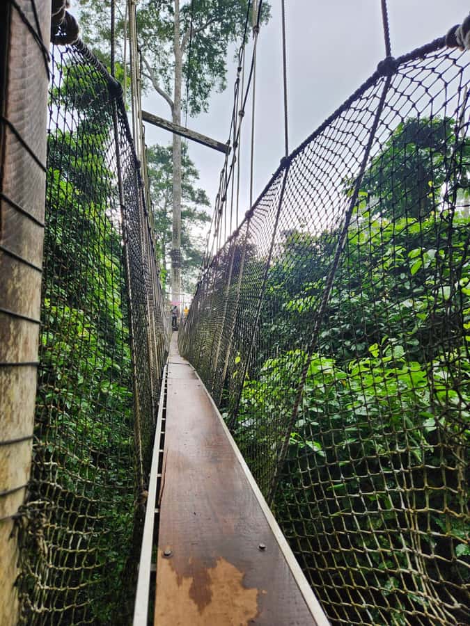 Discover Cape Coast and Elmina Castle with Kakum - Key points to know before booking