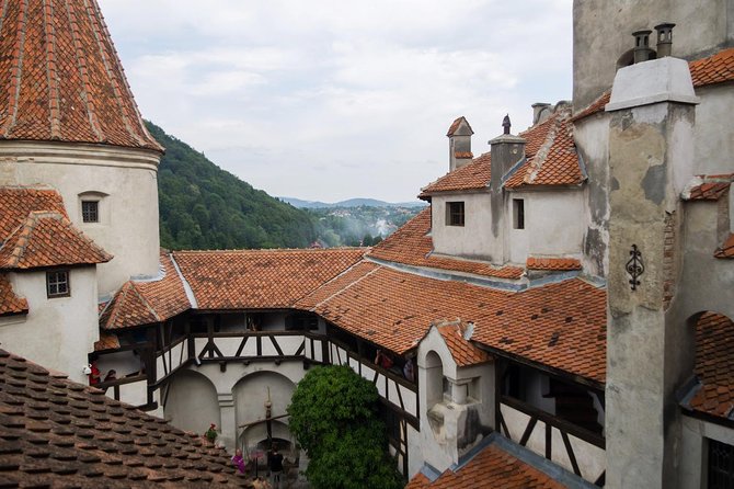 Dracula and Peles Castles Premium Tour with Hotel pick-up - Communication and booking details to watch
