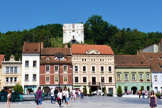 Dracula Castle, Peles and Transylvania, Premium Private Tour - A private guide can make the difference
