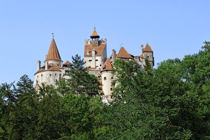 Dracula Castle Rasnov Fortress optional Peles Castle from Brasov - What the vehicle and guide add