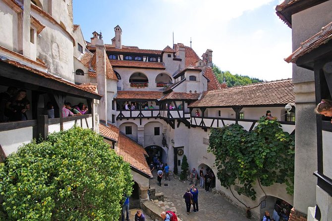 Dracula's Castle, Brasov and Peles Full-Day Tour from Bucharest - Who should book this day trip?