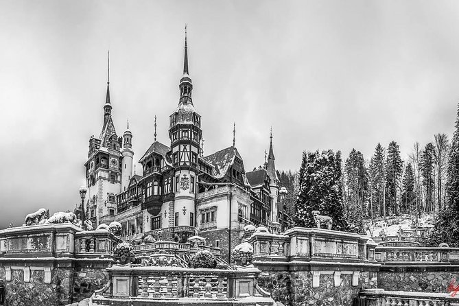 Dracula's Castle, Peles Castle and Brasov - Private Day Trip from Bucharest - Why the private guide matters