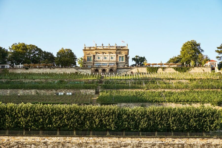 Dresden: Elbe River Cruise to Pillnitz Castle - English commentary and practical accessibility