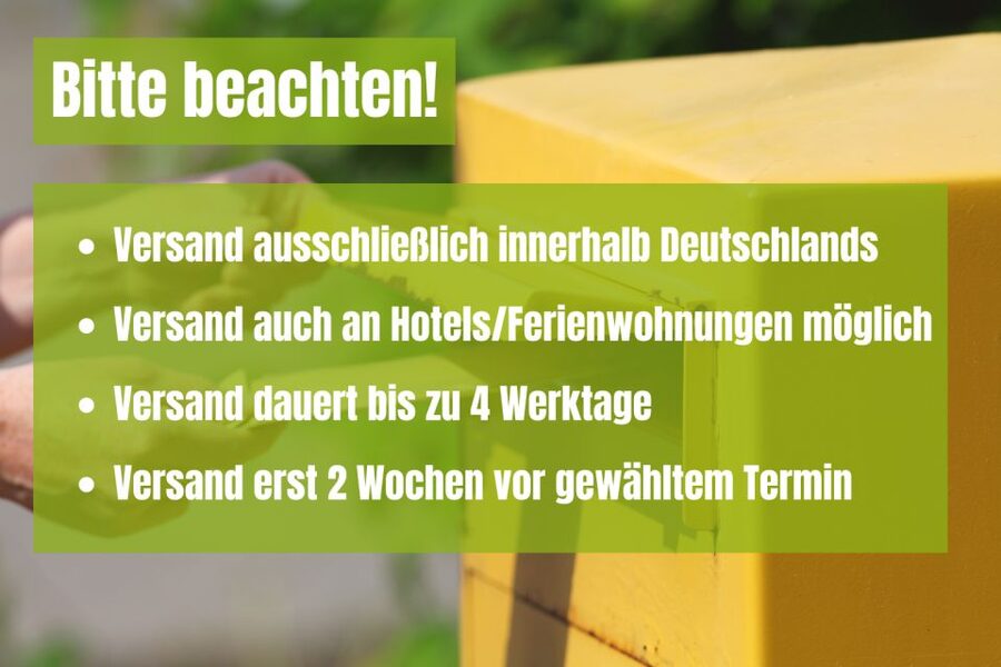 Dresden: Scavenger Hunt to Elbe River & Castles - How the 11-envelope game works