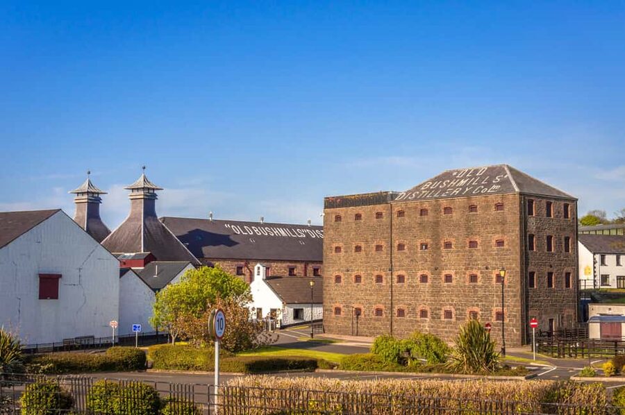 Dublin: Belfast Walk, Dunluce Castle & Giant’s Causeway - The coach ride and the people leading it