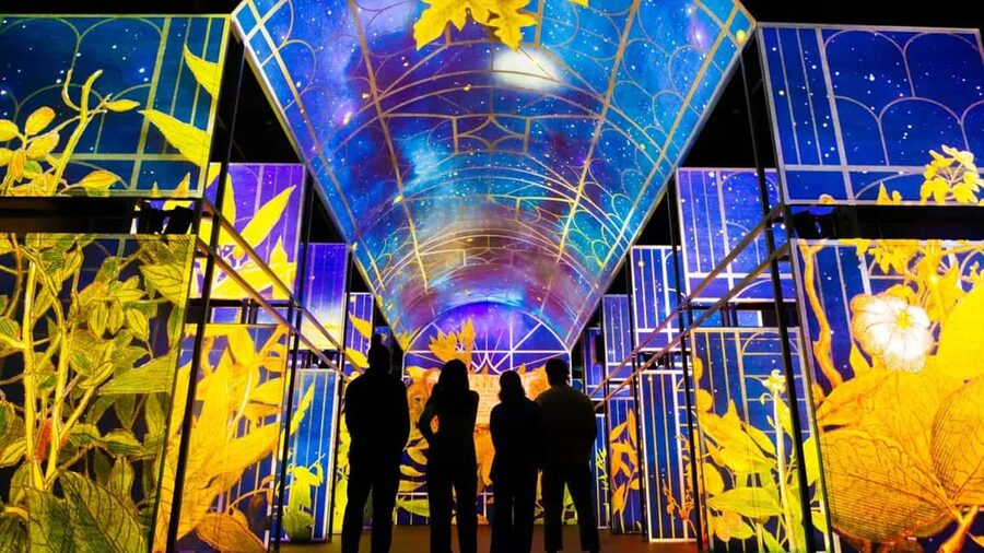 Dublin:Fast-Entry Book of Kells & Dublin Castle Bespoke Tour - Trinity College and the Book of Kells