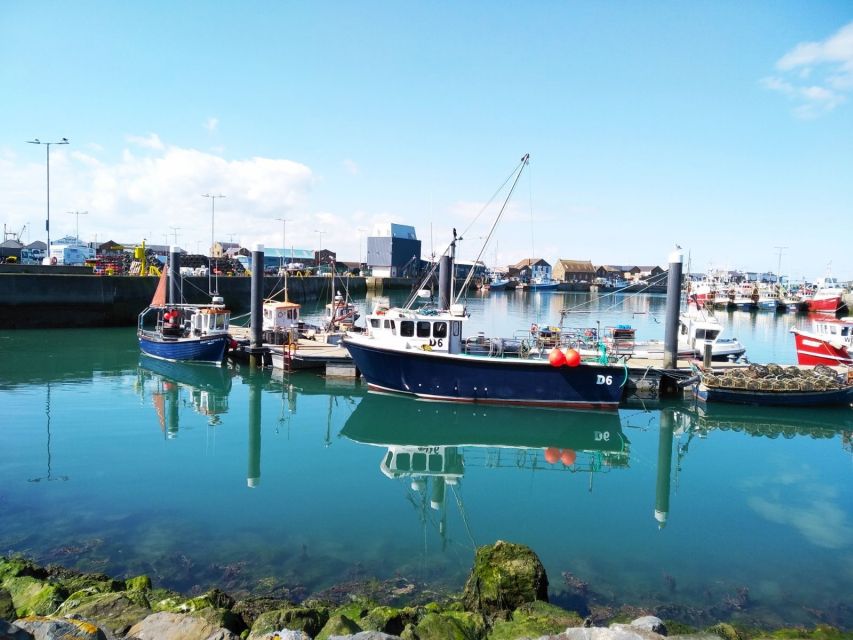 Dublin: Full-Day Howth and Malahide Castle Tour - Malahide Castle and its 800-year family story
