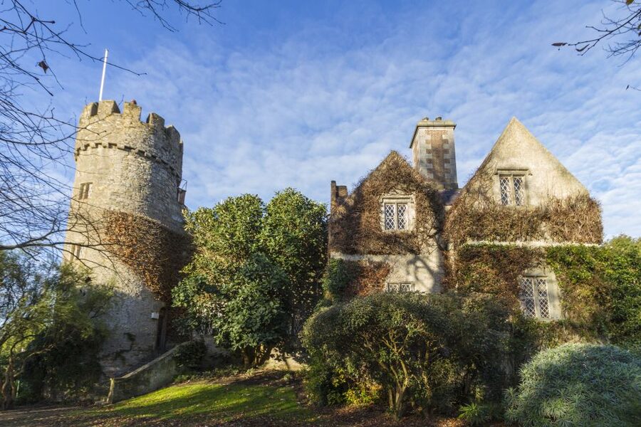 Dublin: Full-Day Howth and Malahide Castle Tour - Howth harbor, lunch, and possible seals