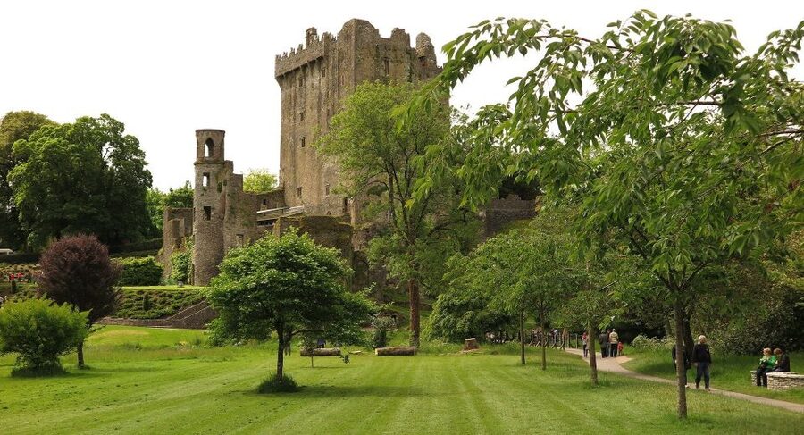 Dublin: Full-Day Tour to Cork, Cobh and Blarney Castle - Why the Guides Matter on a Complicated Route