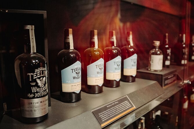 Dublin in a Day: Dublin Castle, Book of Kells, Guinness & Whiskey - Teeling Whiskey Distillery and the Irish whiskey tasting
