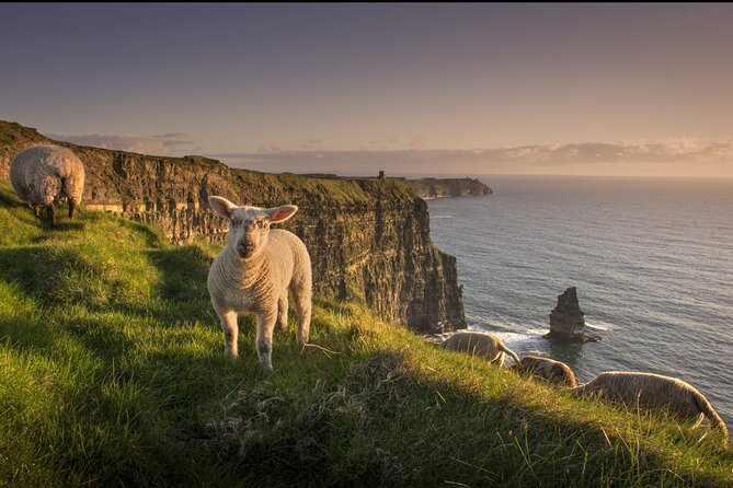 Dublin to Cliffs of Moher, Ennis Town & Bunratty Castle Day Tour - Bunratty Castle and Folk Park after 1415