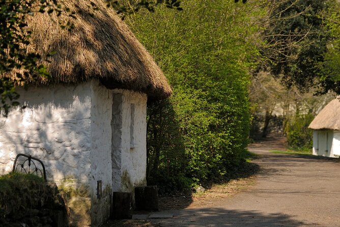 Dublin to Cliffs of Moher, Ennis Town & Bunratty Castle Day Tour - What the value includes, and what it leaves out
