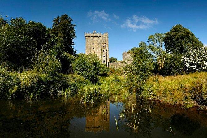 Dublin to Rock of Cashel, Cork City & Blarney Castle Guided Tour - Who should book this tour?