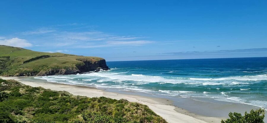 Dunedin City Highlights & Larnach Castle Tour - Key points at a glance