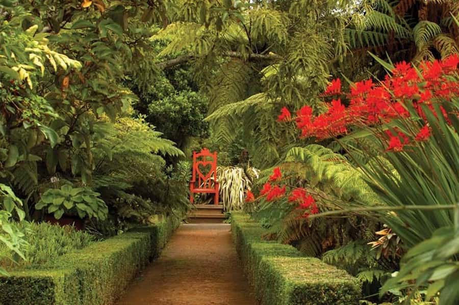 Dunedin: Larnach Castle & Gardens Admission Ticket - Inside the castle: antiques, craftsmanship, and Victorian life