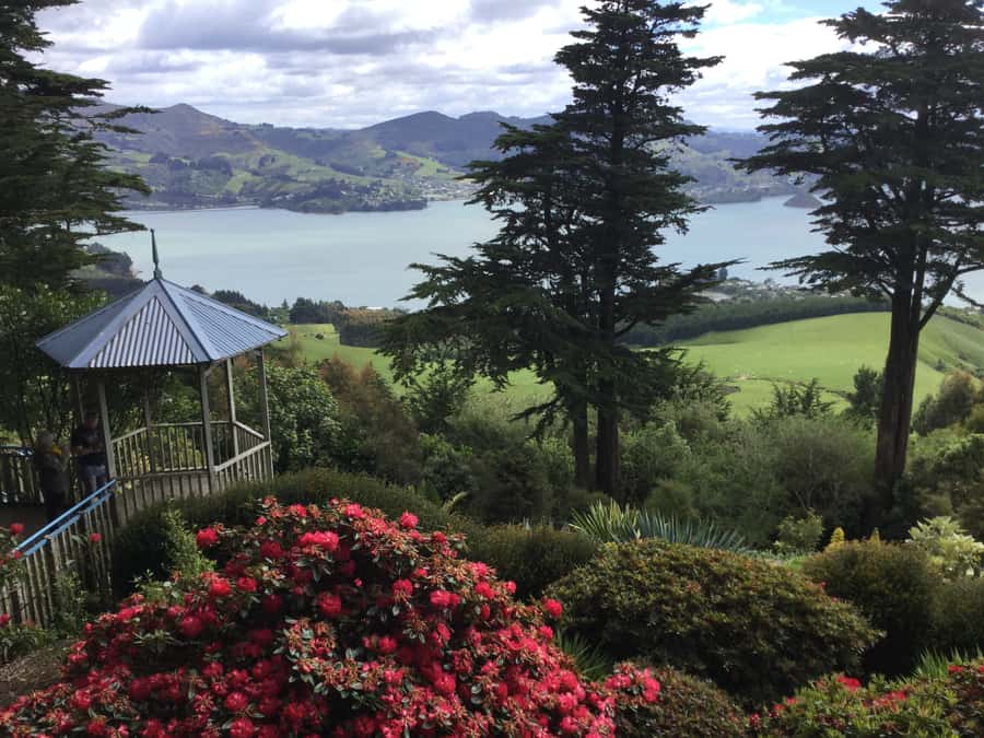 Dunedin: Peninsula with Lanarch Castle gardens & Olveston - Key points at a glance