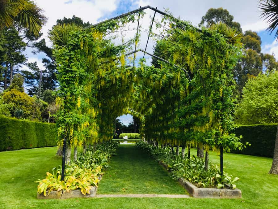 Dunedin: Peninsula with Lanarch Castle gardens & Olveston - Why this Dunedin day works so well