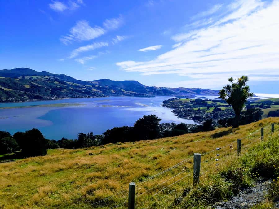 Dunedin: Peninsula with Lanarch Castle gardens & Olveston - Northern Cemetery and Dunedin’s early characters
