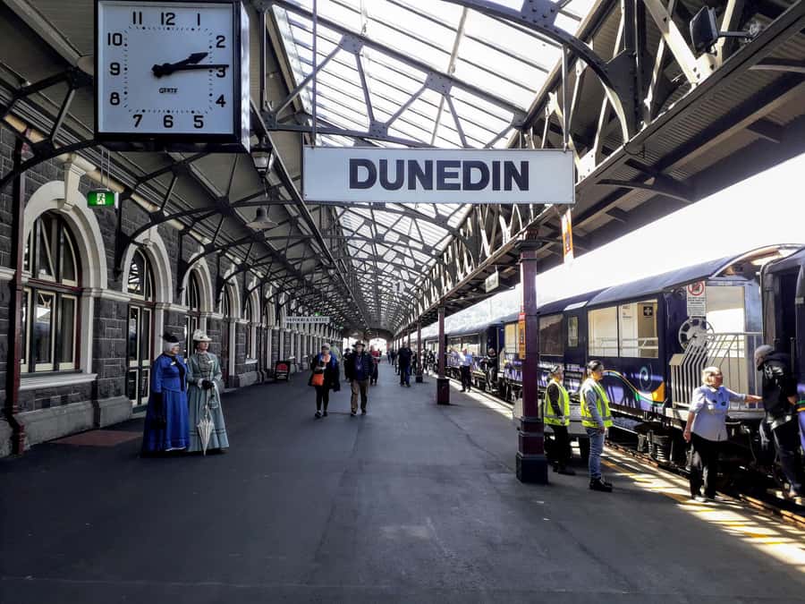 Dunedin: Peninsula with Lanarch Castle gardens & Olveston - University of Otago, First Church, and the railway station