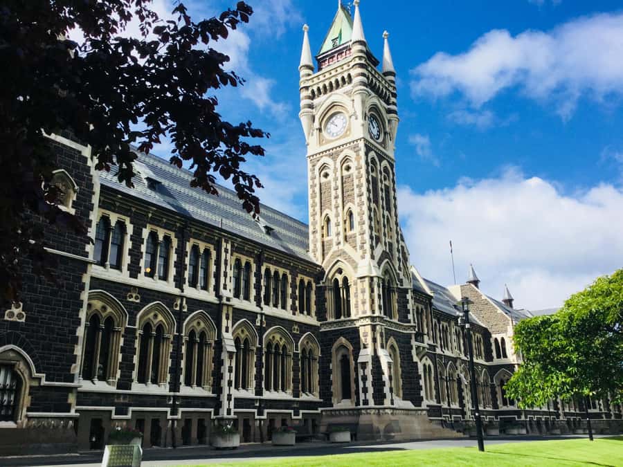 Dunedin: Peninsula with Lanarch Castle gardens & Olveston - Larnach Castle Gardens and the extra castle charge