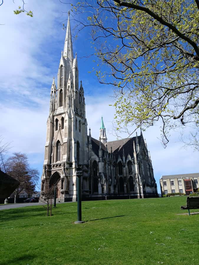 Dunedin: Peninsula with Lanarch Castle gardens & Olveston - Timing, cruise-port planning, and value