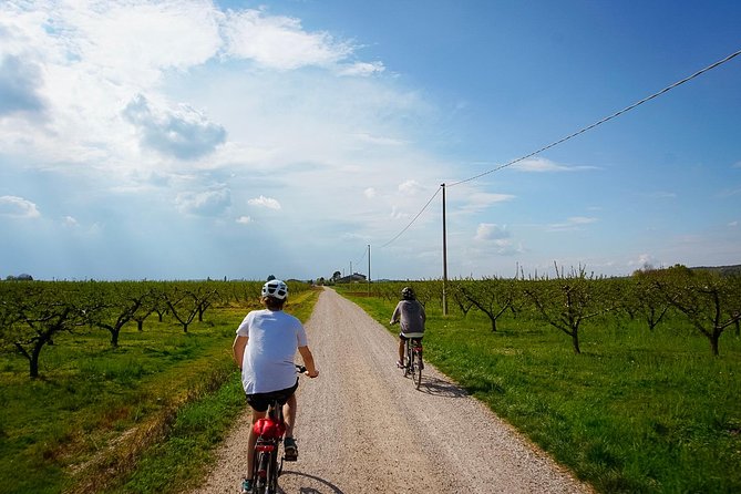 E-bike adventure among medieval castles and old villages - Five things to know before you book