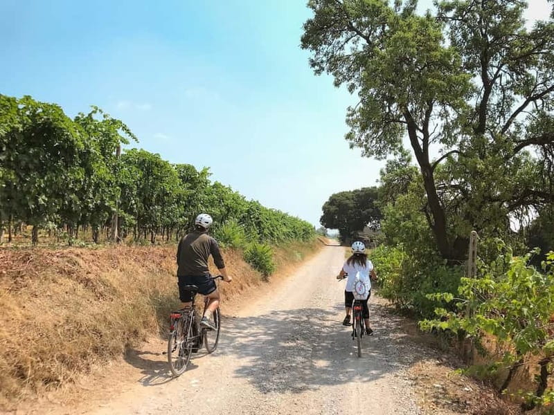 E-bike adventure among villages and medieval castles - Key points to know before you book