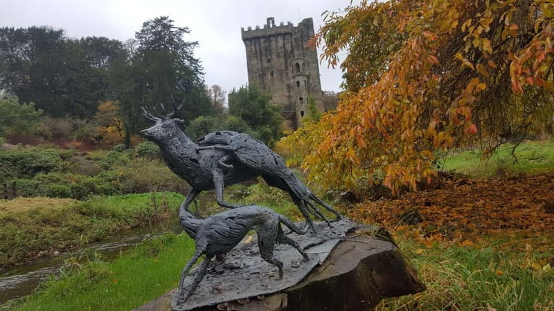 Easy Access - The Blarney Stone & Castle Gardens Tour - Why the gardens deserve as much attention as the stone