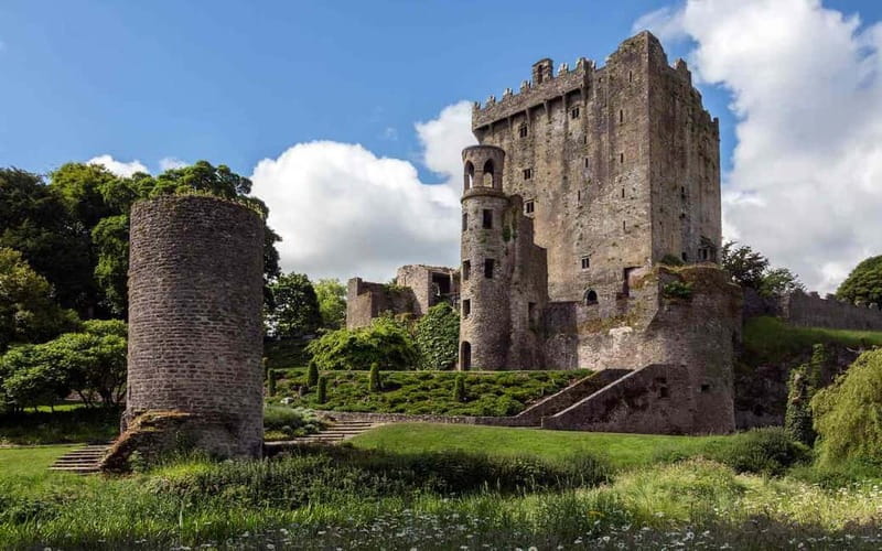 Easy Access - The Blarney Stone & Castle Gardens Tour - Guides are the strongest part of the tour