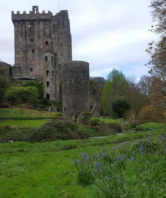 Easy Access - The Blarney Stone & Castle Gardens Tour - Who should book this Blarney tour?