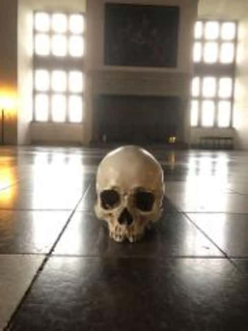 Easy Pace Tour of Kronborg Castle and Frederiksborg Palace - Key points before you book