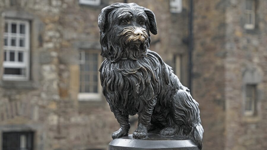 Edinburgh: Edinburgh Castle & Old Town Small Group Tour - Key points at a glance