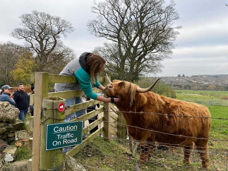 Edinburgh: Highland Cow, Blackness Castle, and Cake Tour - Key points to know before booking