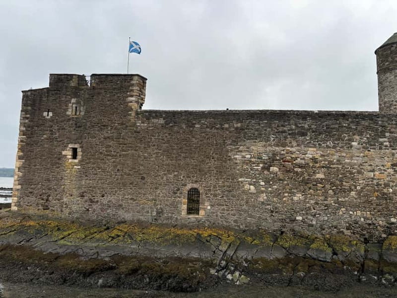 Edinburgh: Highland Cow, Blackness Castle, and Cake Tour - Why the Highland coos are worth the trip