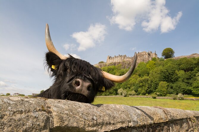 Edinburgh: Loch Lomond, Stirling Castle and the Kelpies Day Tour - Loch Lomond at Balloch: Cruise or Shoreline Walk