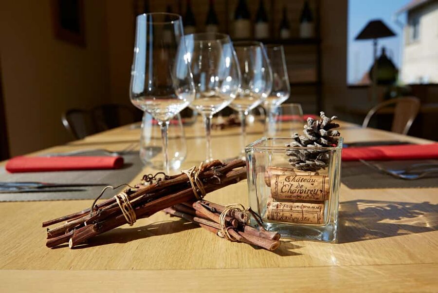 Electric scooter getaway and tasting at Château de Chamirey - Who should book this activity?