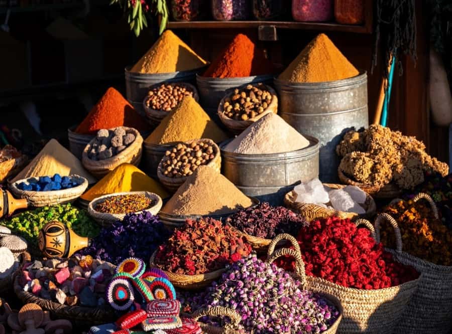 Essaouira: Sqala du Port, Citadel, Fish Market & Medina Tour - What the $23 price really gives you