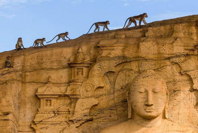Exclusive: Sigiriya Fortress & Polonnaruwa Guided Tour - Key Points At a Glance