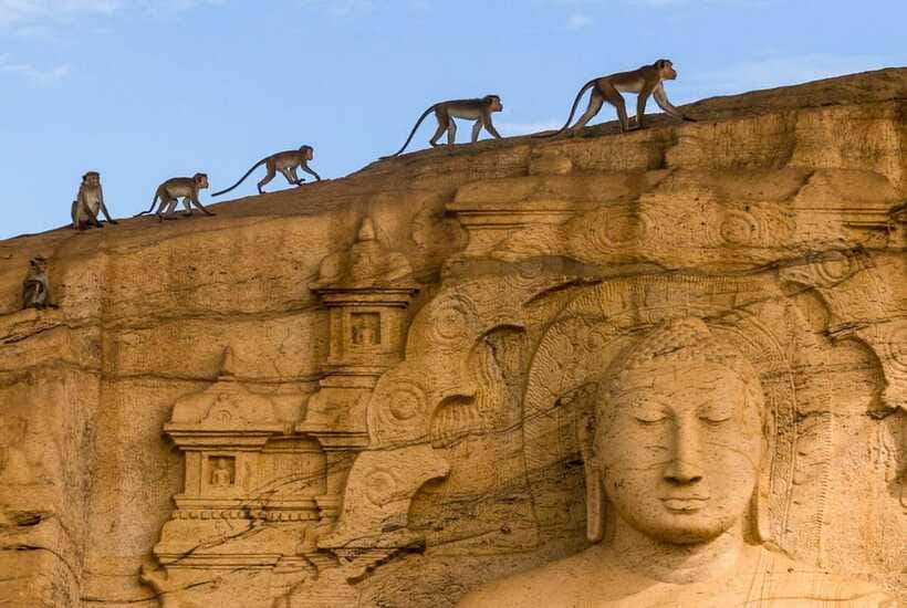 Exclusive: Sigiriya Fortress & Polonnaruwa Guided Tour - A Private Vehicle Makes The Long Day Easier