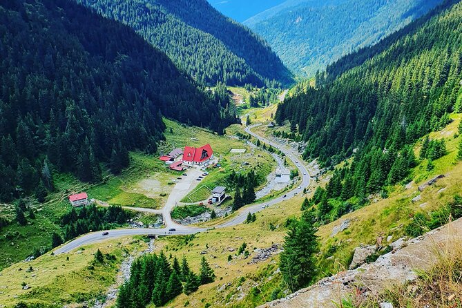 Executive Dracula Day Trip - See Bran & Peles Castle, Brasov from Bucharest - Timing, comfort, and what to bring