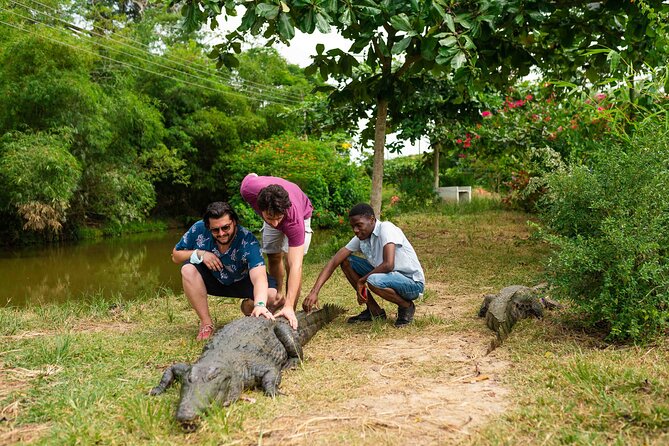 Experience Cape Coast Castle and Kakum National Park - Kakum’s seven bridges are the active highlight
