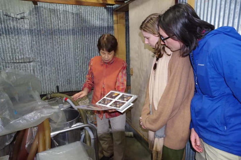 Explore Matsumoto: Castle, Sake & Taste of Local Life - Who should book this three-hour walk?