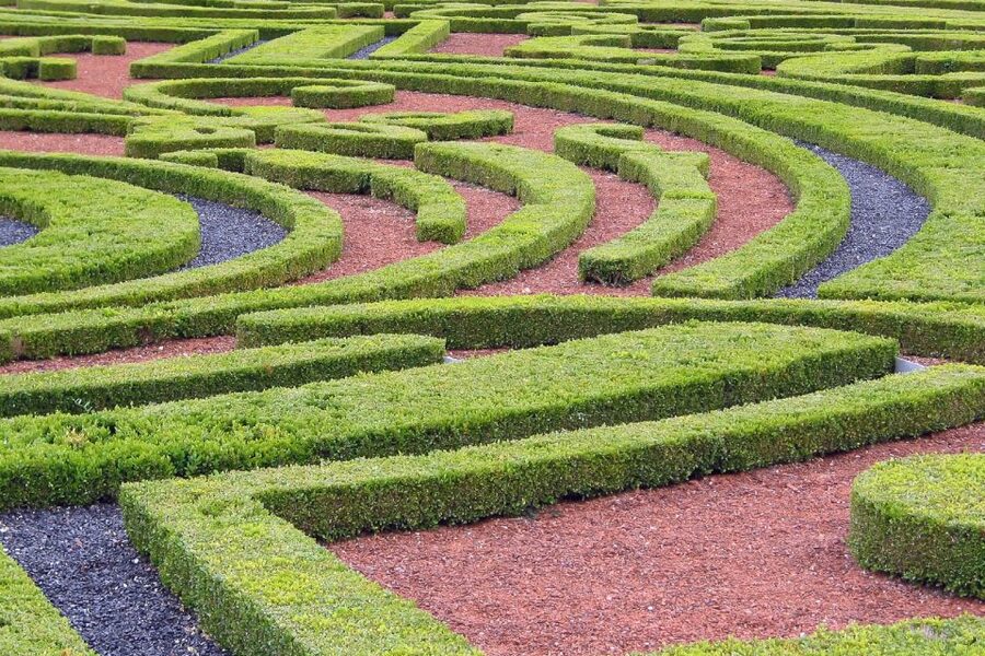 Fontainebleau & Vaux-le-Vicomte Châteaux Day Tour from Paris - Is $123 good value?
