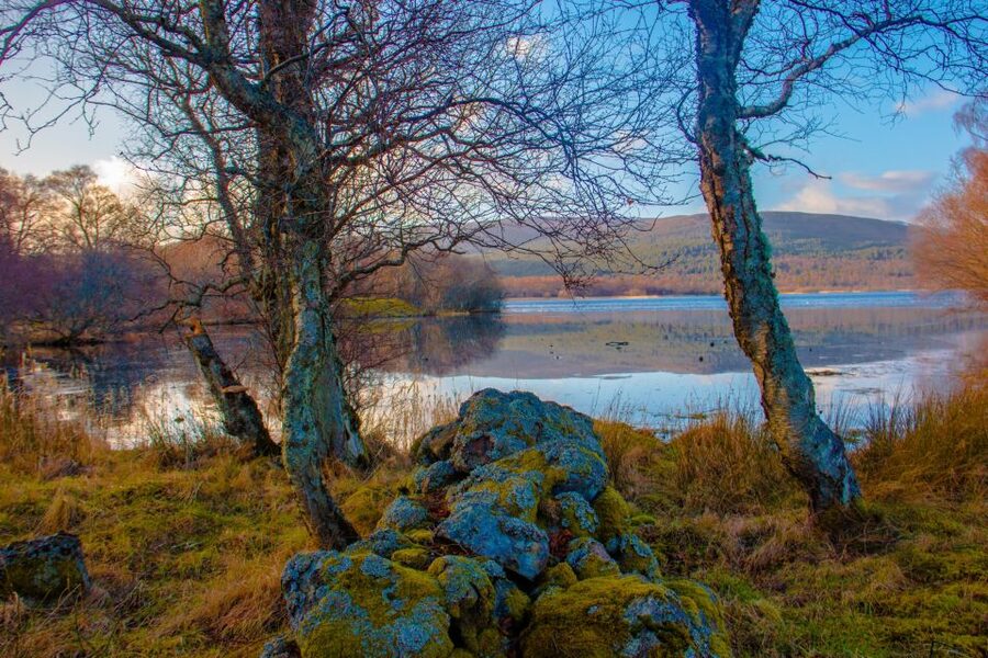 From Aberdeen: Dunnottar Castle and Cairngorms Day Trip - Muir of Dinnet and the Burn O’Vat walk
