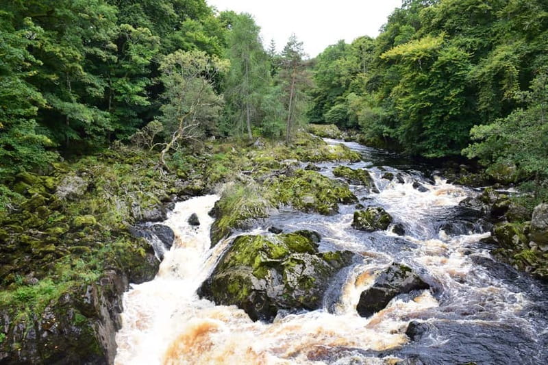 From Aberdeen: Guided Day Trip, Coast & Castle Visit - Food samples and the optional whisky element